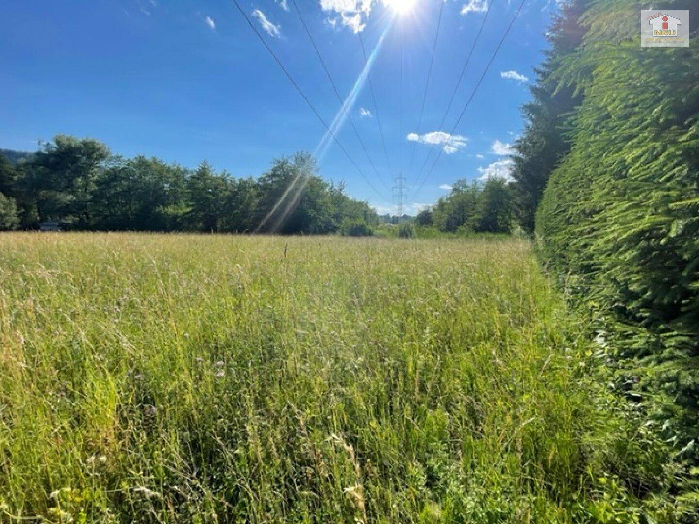 Schöne landwirtschaftliche Flächen mit 3.208m² - Nähe Hafnersee - Kein Baugrund!