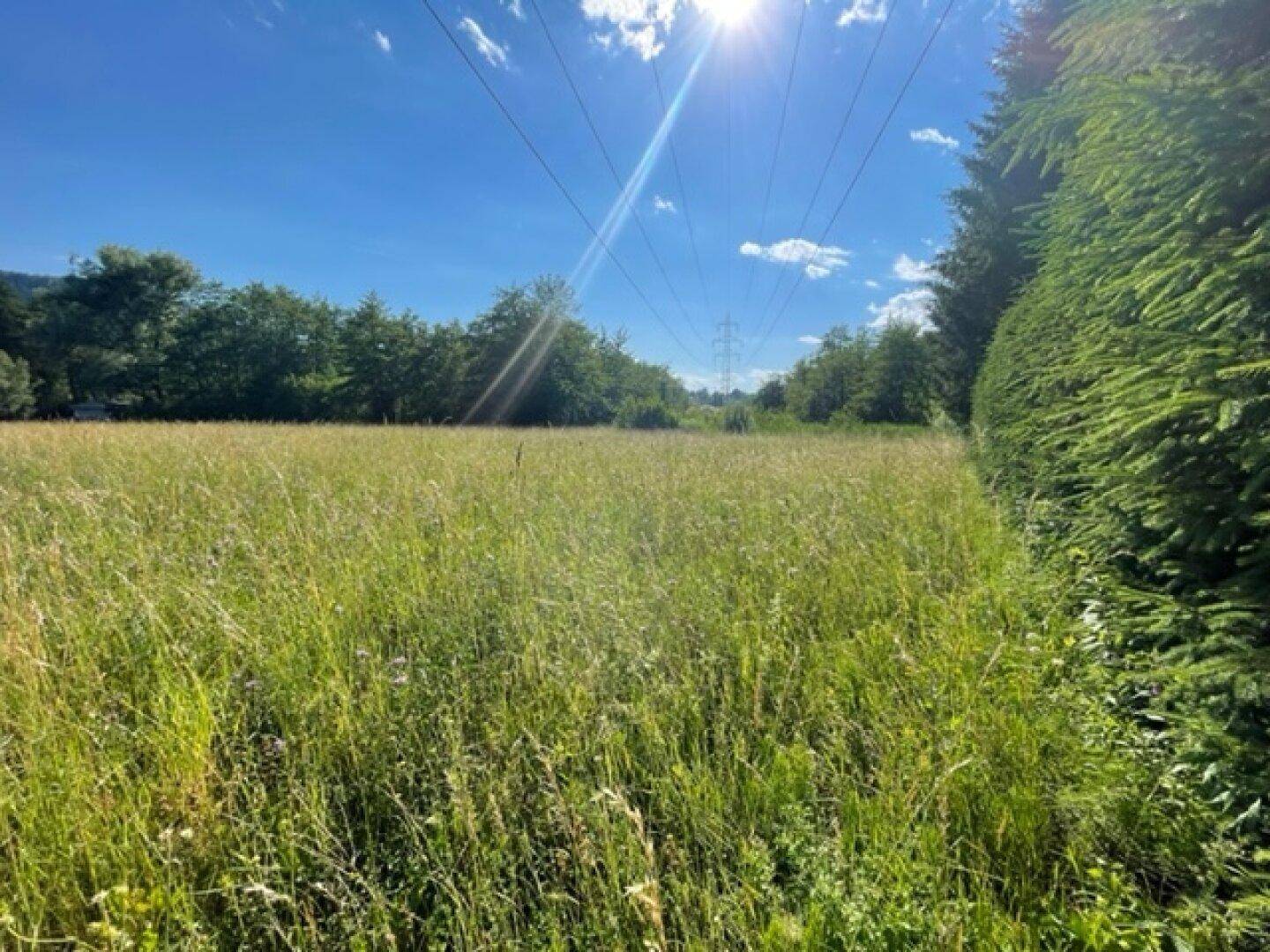 Schöne landwirtschaftliche Flächen mit 3.208m² - Nähe Hafnersee - Kein Baugrund!