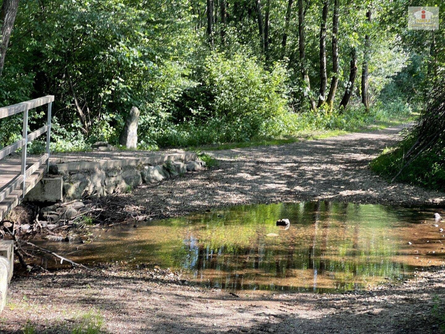 Schöne landwirtschaftliche Flächen mit 3.208m² - Nähe Hafnersee - Kein Baugrund!