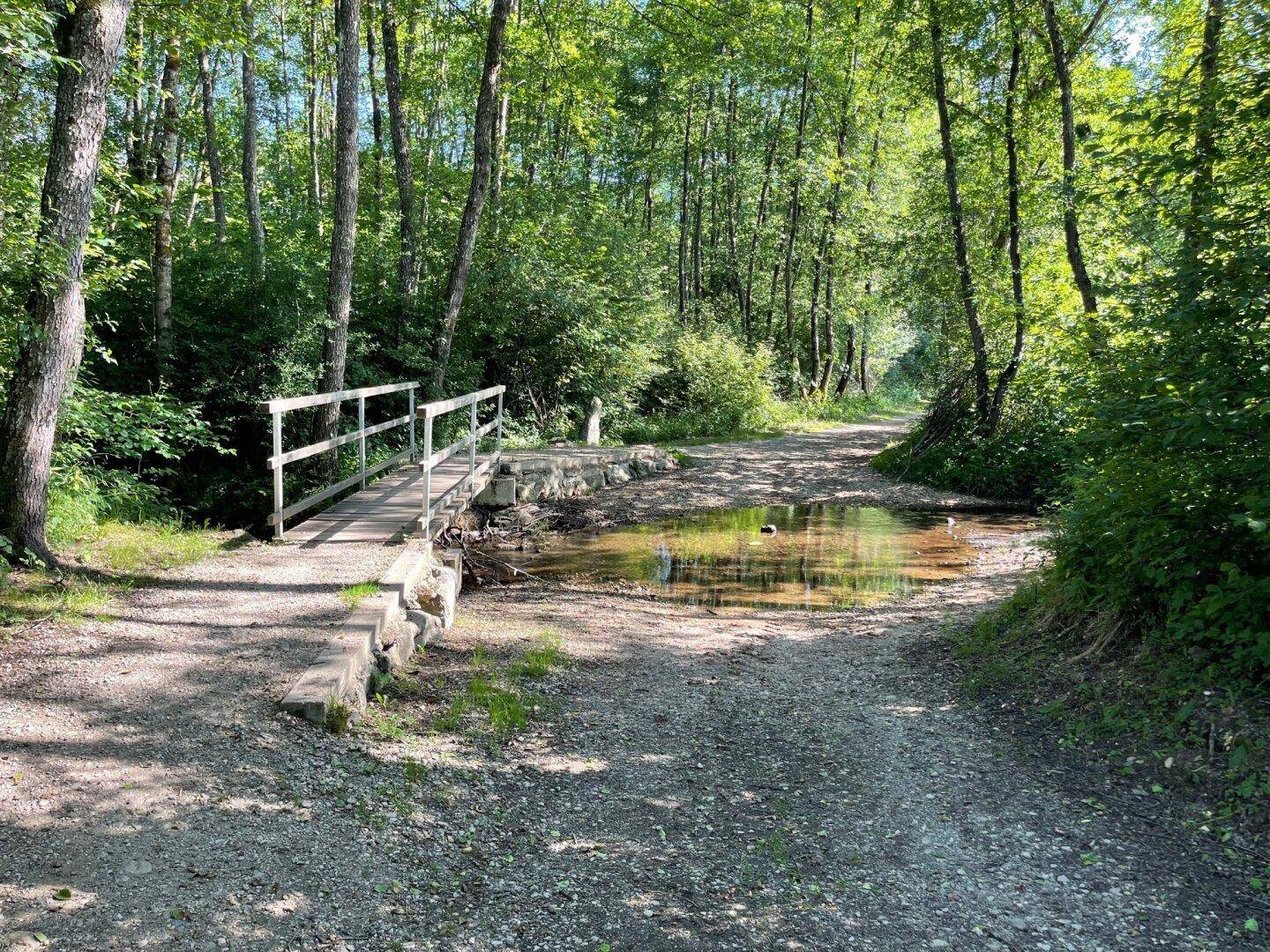 Schöne landwirtschaftliche Flächen mit 3.208m² - Nähe Hafnersee - Kein Baugrund!