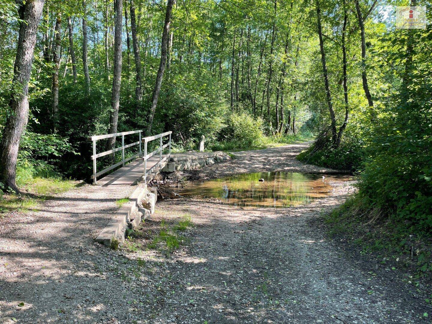 Schöne landwirtschaftliche Flächen mit 3.208m² - Nähe Hafnersee - Kein Baugrund!