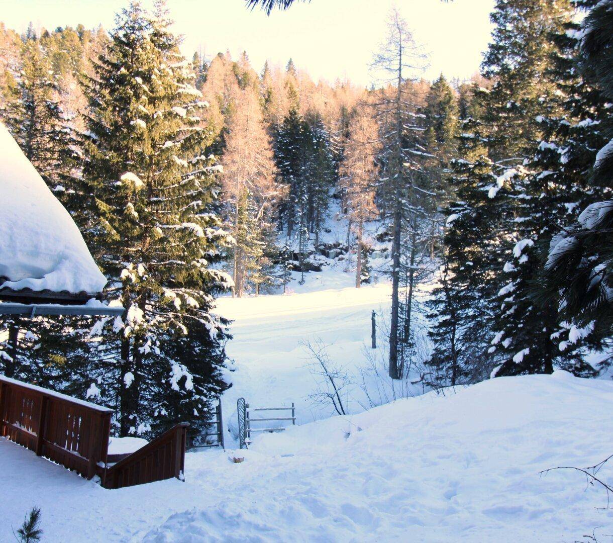 Turracher Höhe- Natur Pur genießen - Almhütte/Berghütte - Skifahren - Wandern in absoluter Traumlage - Mehr