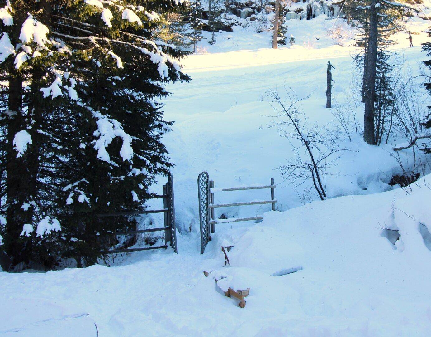Turracher Höhe- Natur Pur genießen - Almhütte/Berghütte - Skifahren - Wandern in absoluter Traumlage - Ansicht 5
