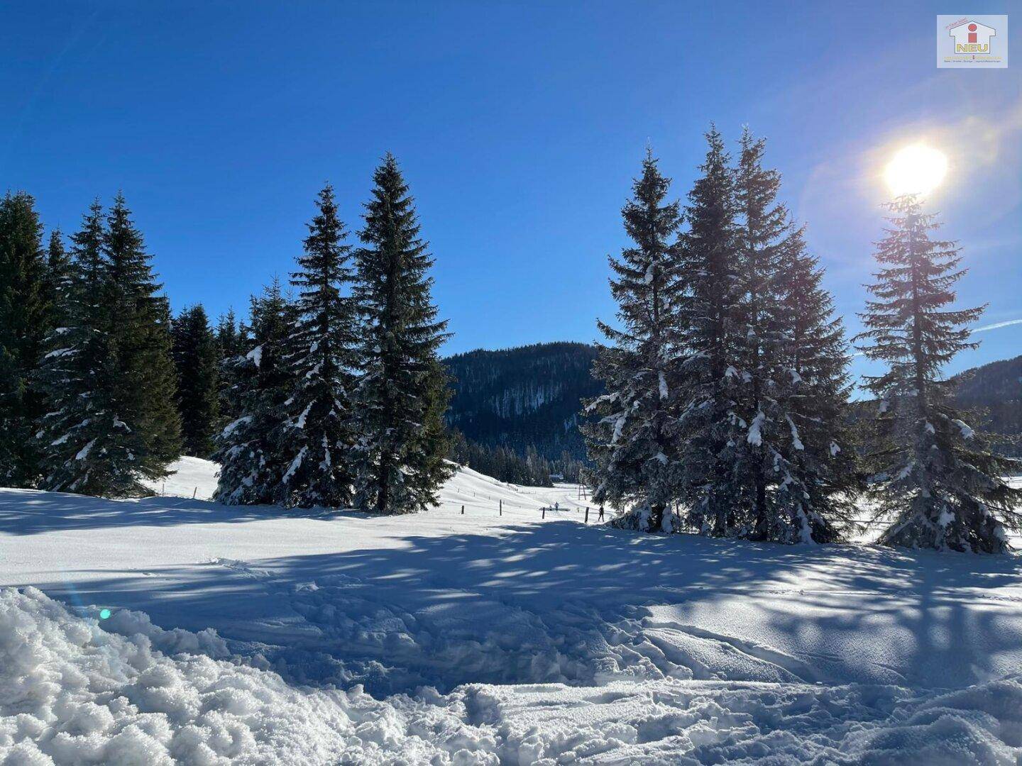 Schöne möblierte 2 Zi Wohnung auf der Flattnitz auf 1400m Seehöhe