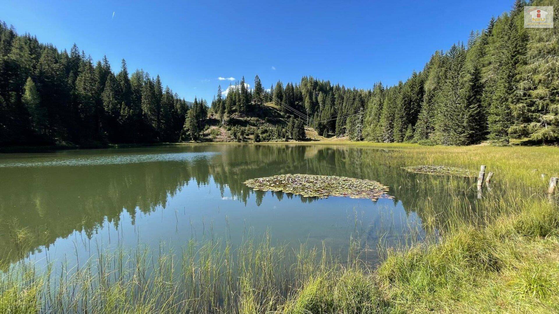 Schöne möblierte 2 Zi Wohnung auf der Flattnitz auf 1400m Seehöhe