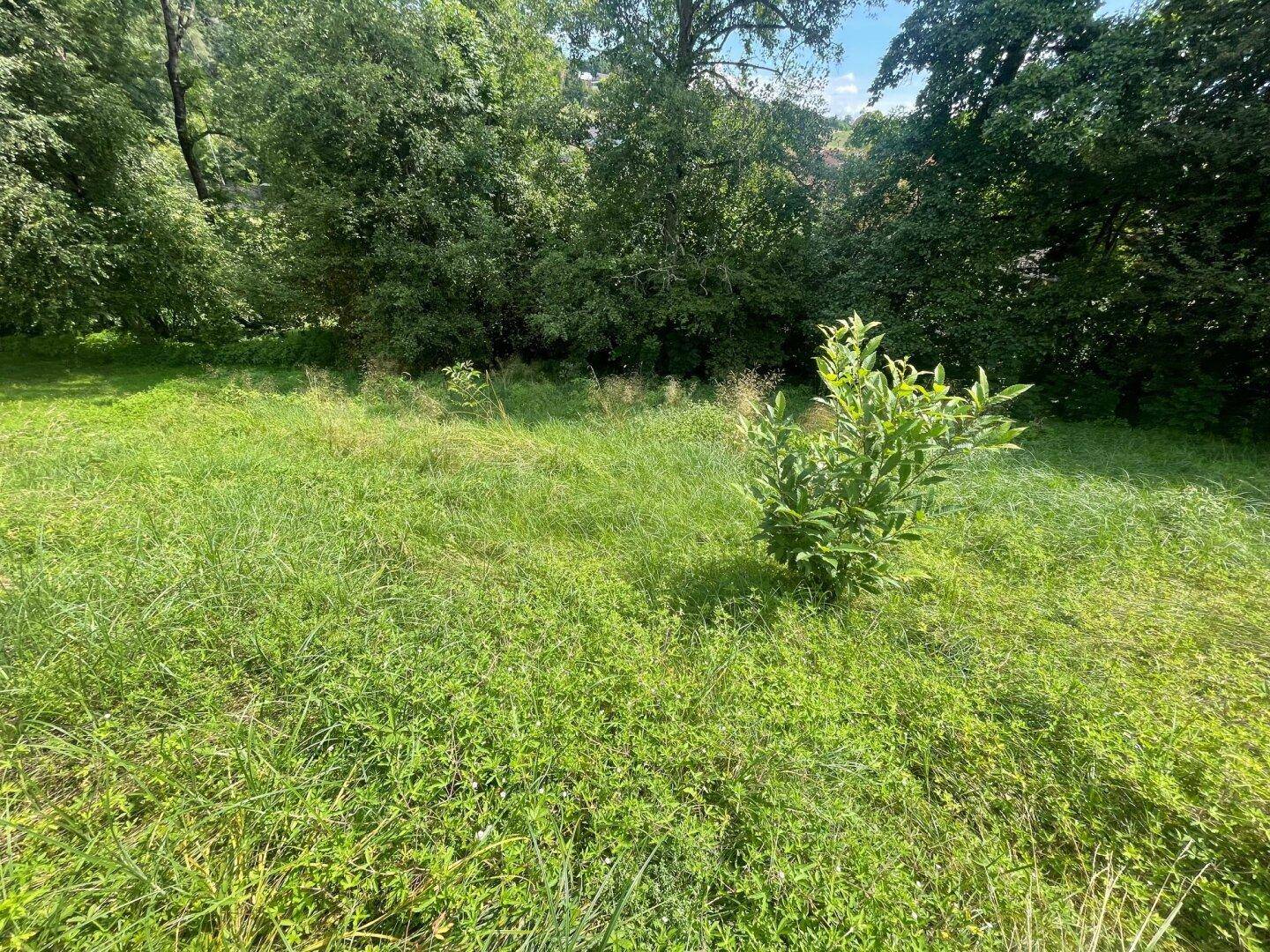 Schöner großer 1.176m² Baugrund in Wölfnitz - Hanglage