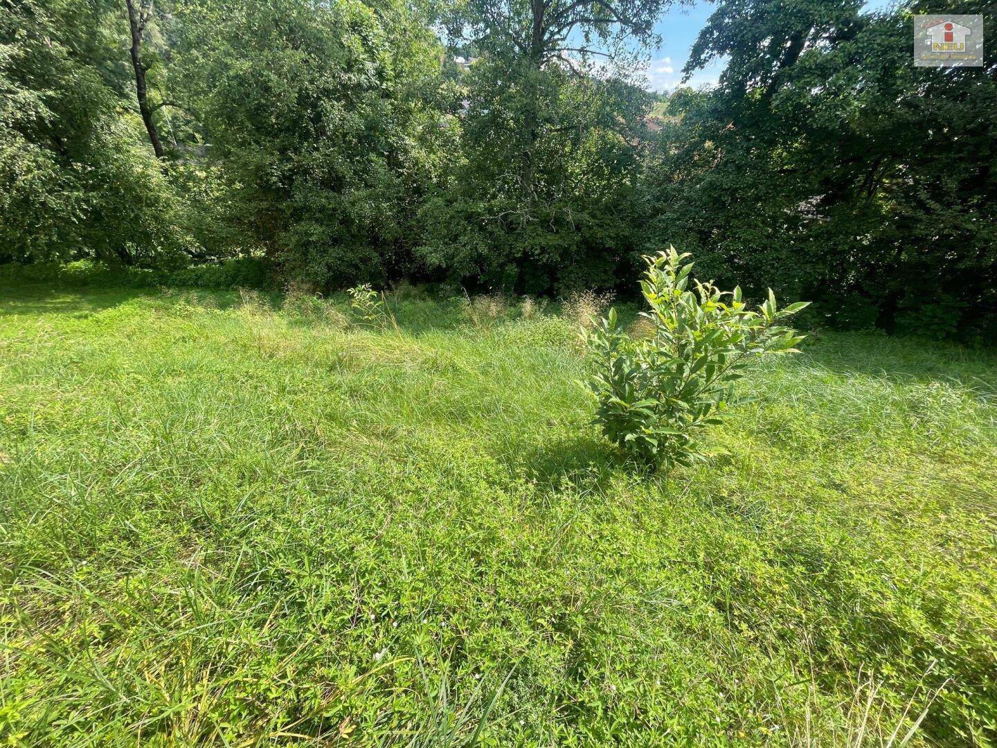 Schöner großer 1.176m² Baugrund in Wölfnitz - Hanglage