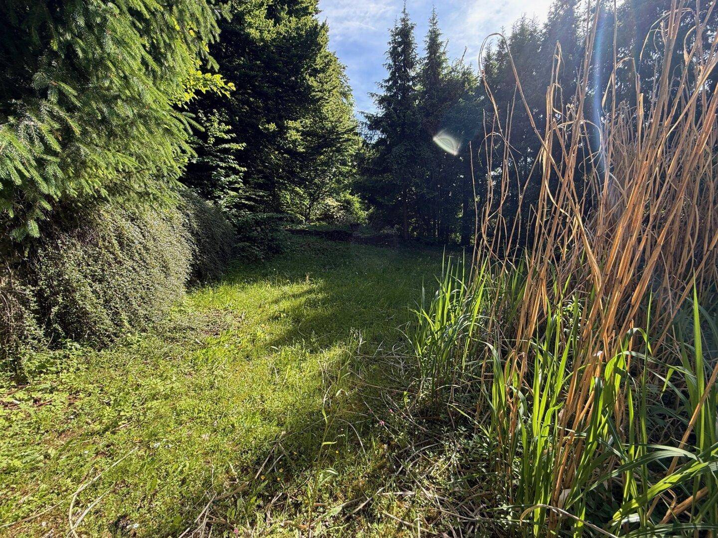 Älteres 200m² Wohnhaus am Waldrand mit 3.528m² Grundstück in Klagenfurt - Quellenstraße