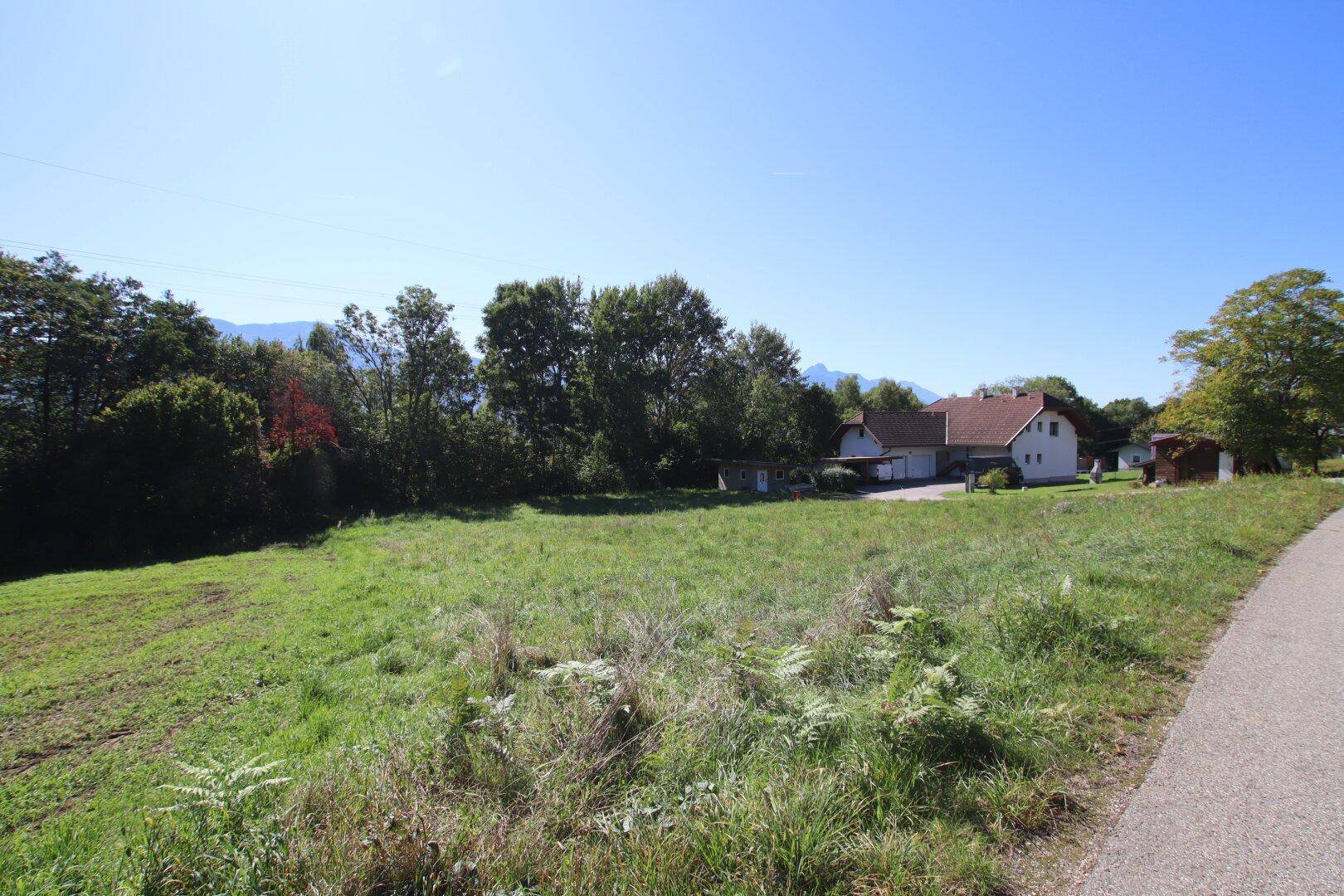 Großes grünes Grundstück mit Blick auf Wohnhäuser und Bäume in der Ferne.
