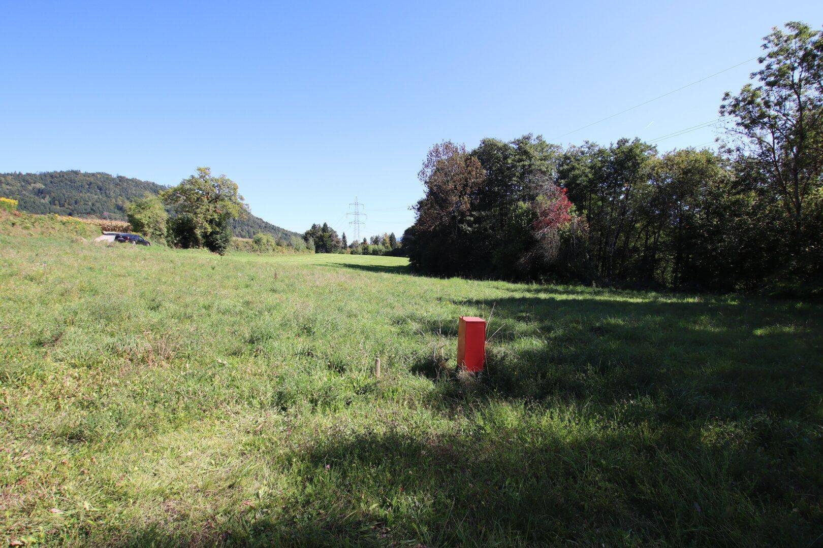 Offenes grünes Feld mit einem roten Markierungspfosten und bewaldetem Hintergrund.