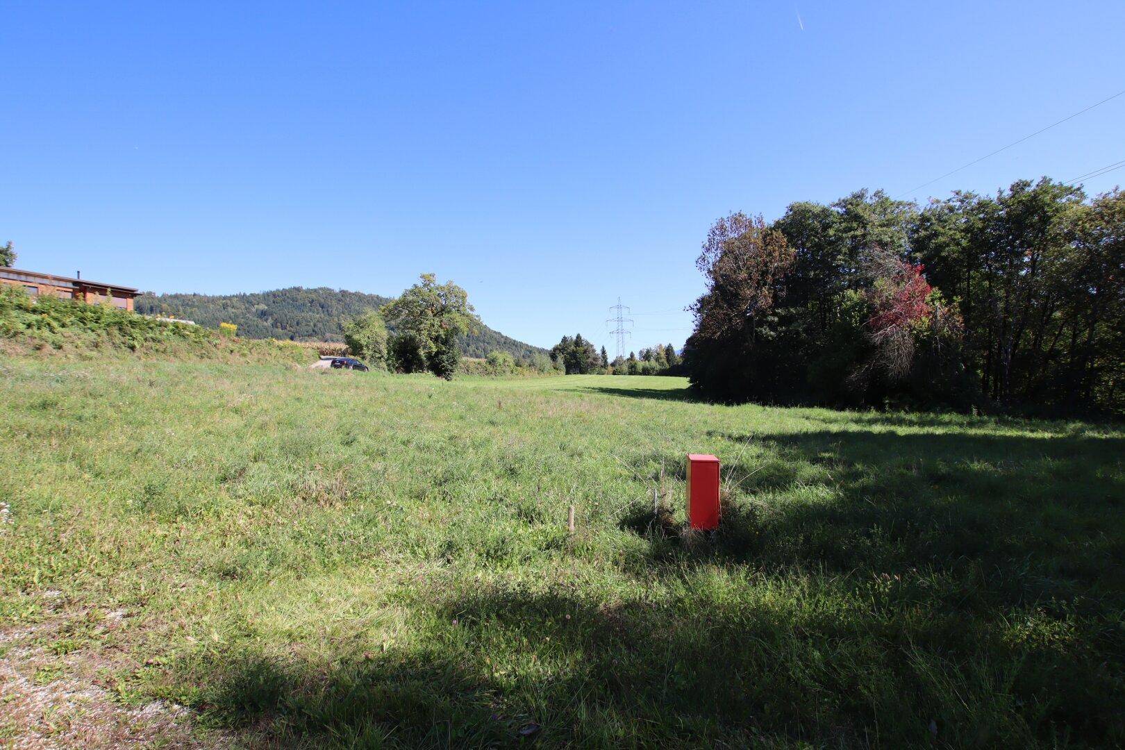 Weitläufige grüne Wiese mit einem roten Pfosten und hügeliger Landschaft im Hintergrund.