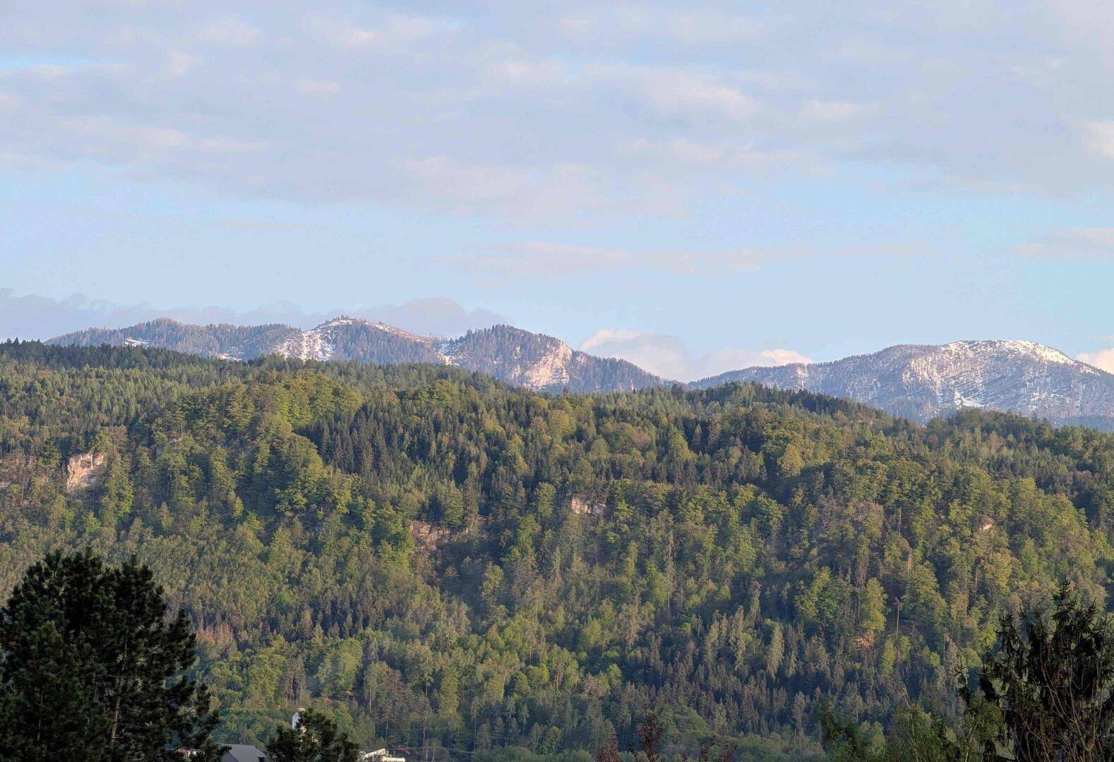 Nahaufnahme eines bewaldeten Bergpanoramas mit schneebedeckten Gipfeln unter leicht bewölktem Himmel.