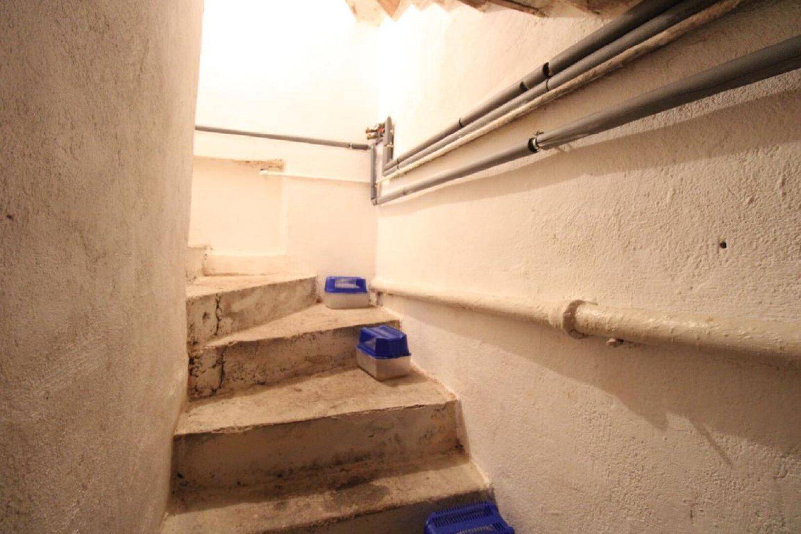 Einfache Betontreppe führt in den Kellerbereich mit sichtbaren Rohrleitungen.