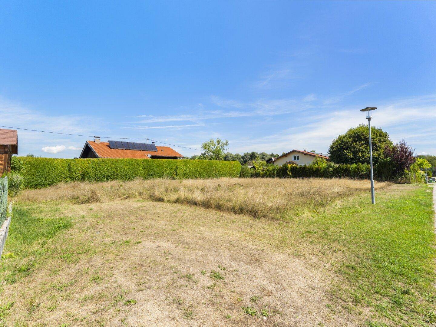 Bodennahaufnahme des unbebauten Grundstücks mit trockenem Gras und angrenzender Straße.