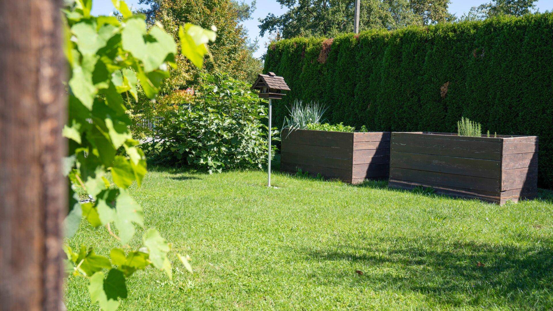 Grüner Garten mit Rasenfläche, Hochbeeten und Vogelhaus, umgeben von Hecken.