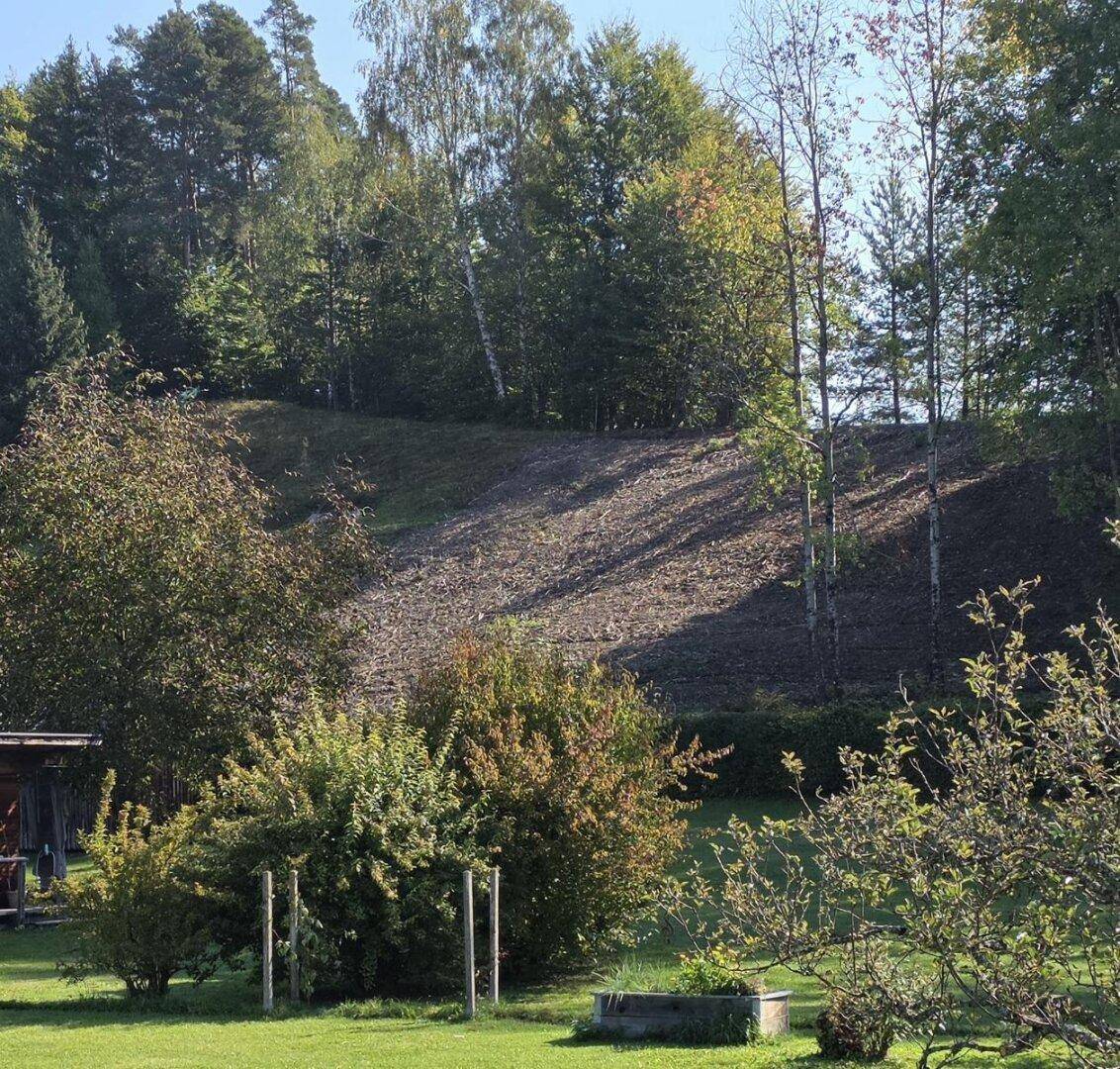 Slide 8