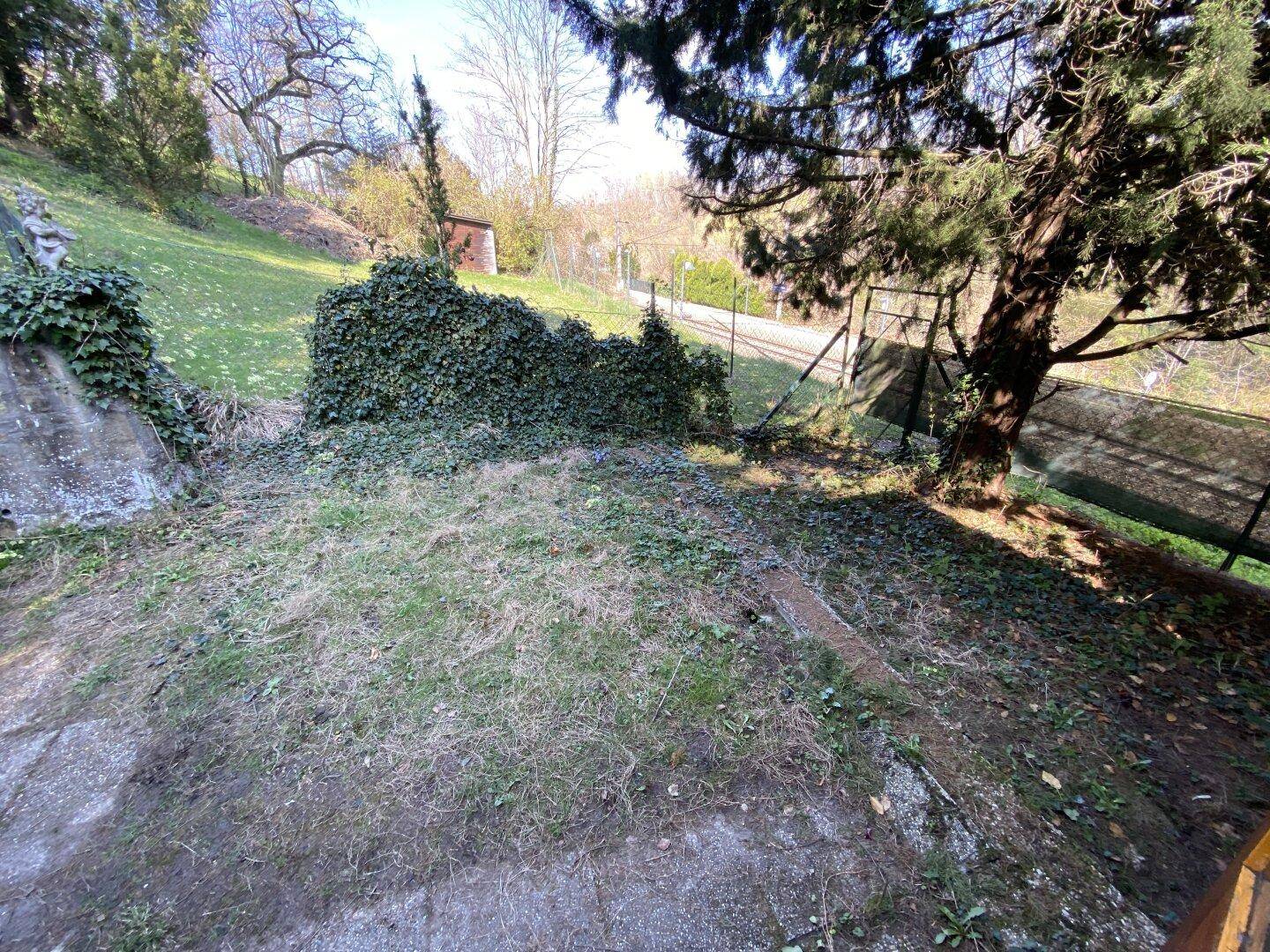 Ungepflegter Gartenbereich mit Gras, Efeu und Bäumen auf einem Hanggrundstück, naturbelassen.