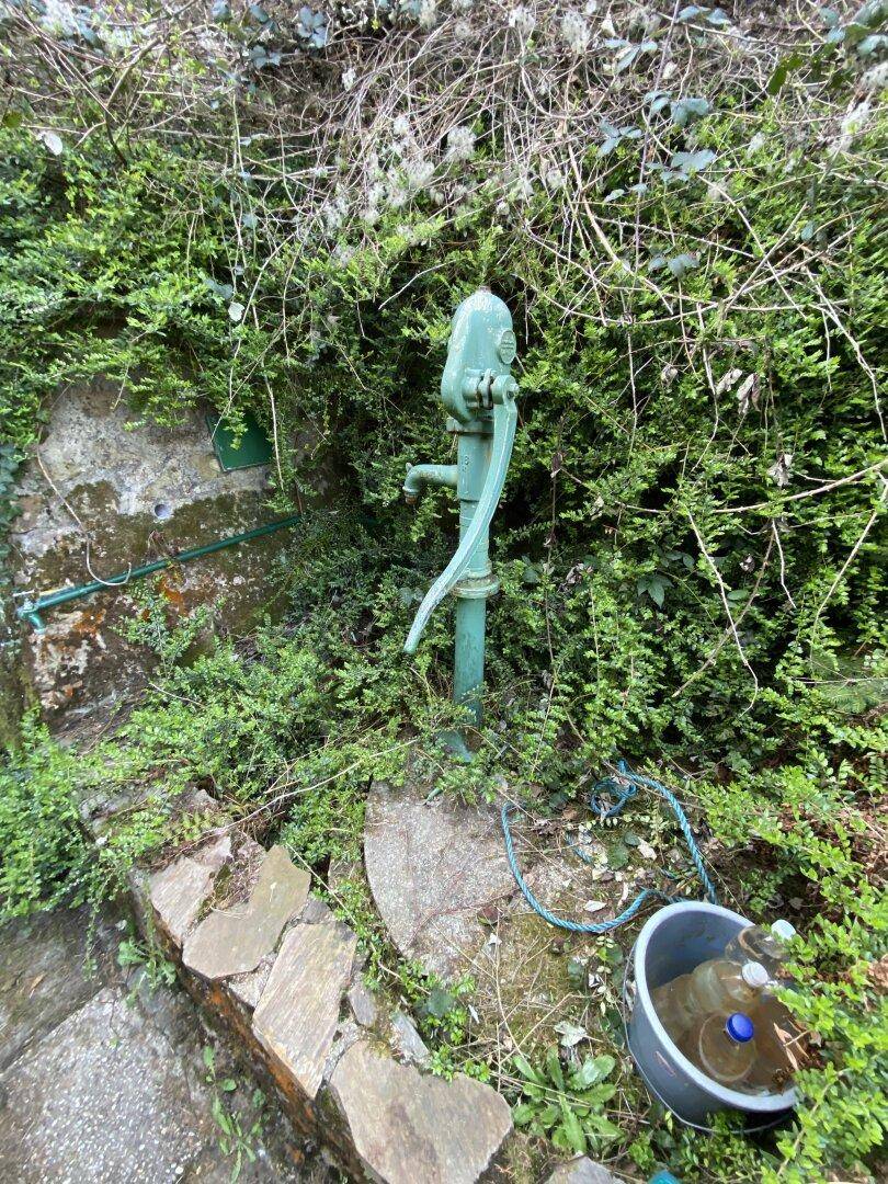 Historische Wasserpumpe in einem dicht bewachsenen Gartenbereich, als dekoratives Element.
