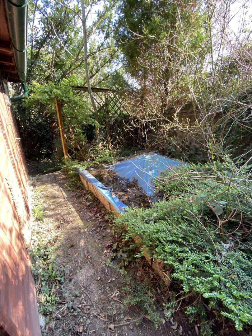Gartenbeet mit Pflanzen und einer Abdeckung, umgeben von dichter Vegetation, für den Anbau genutzt.