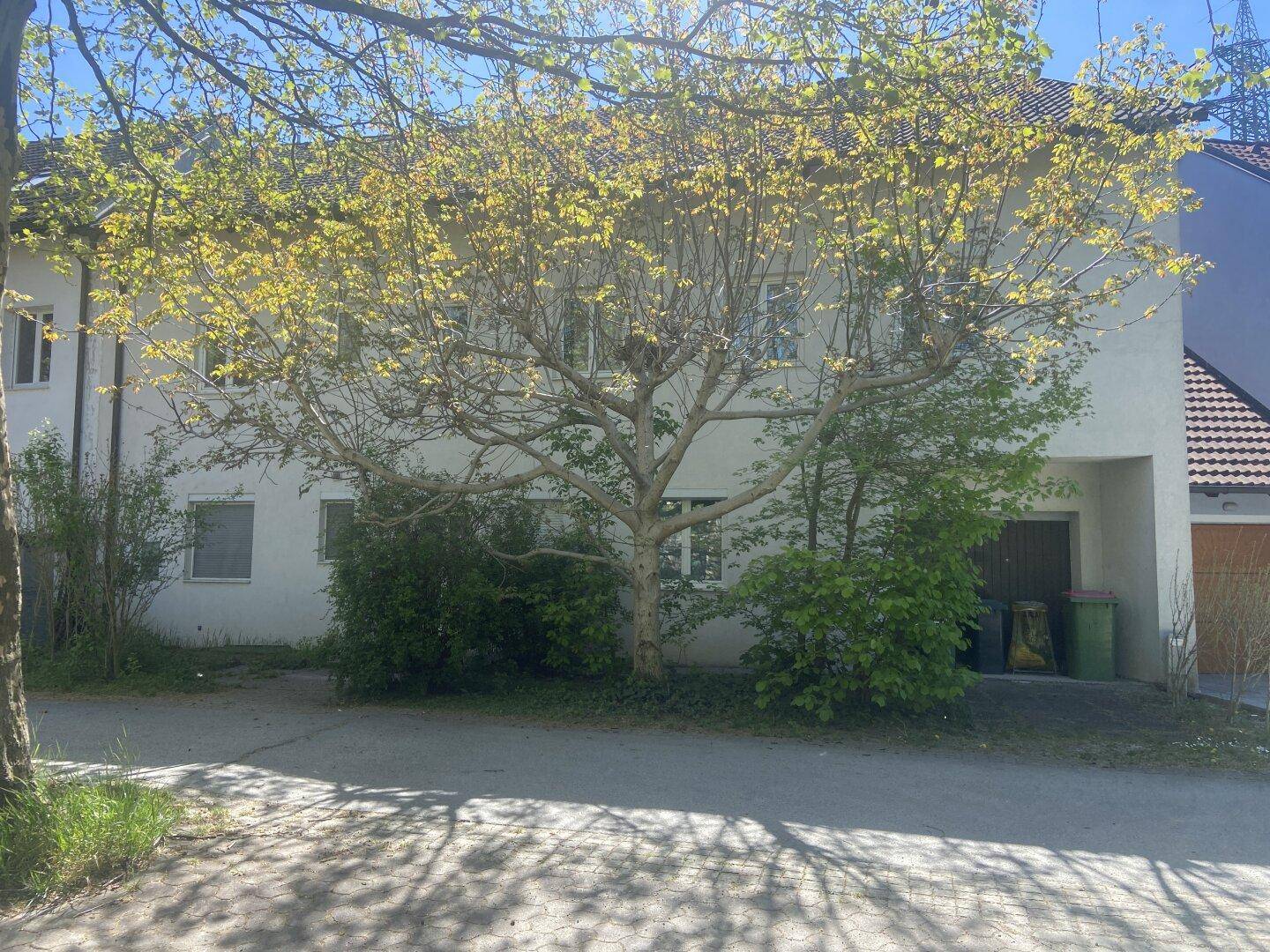 Vorderansicht des Hauses mit großem Baum und Einfahrt.