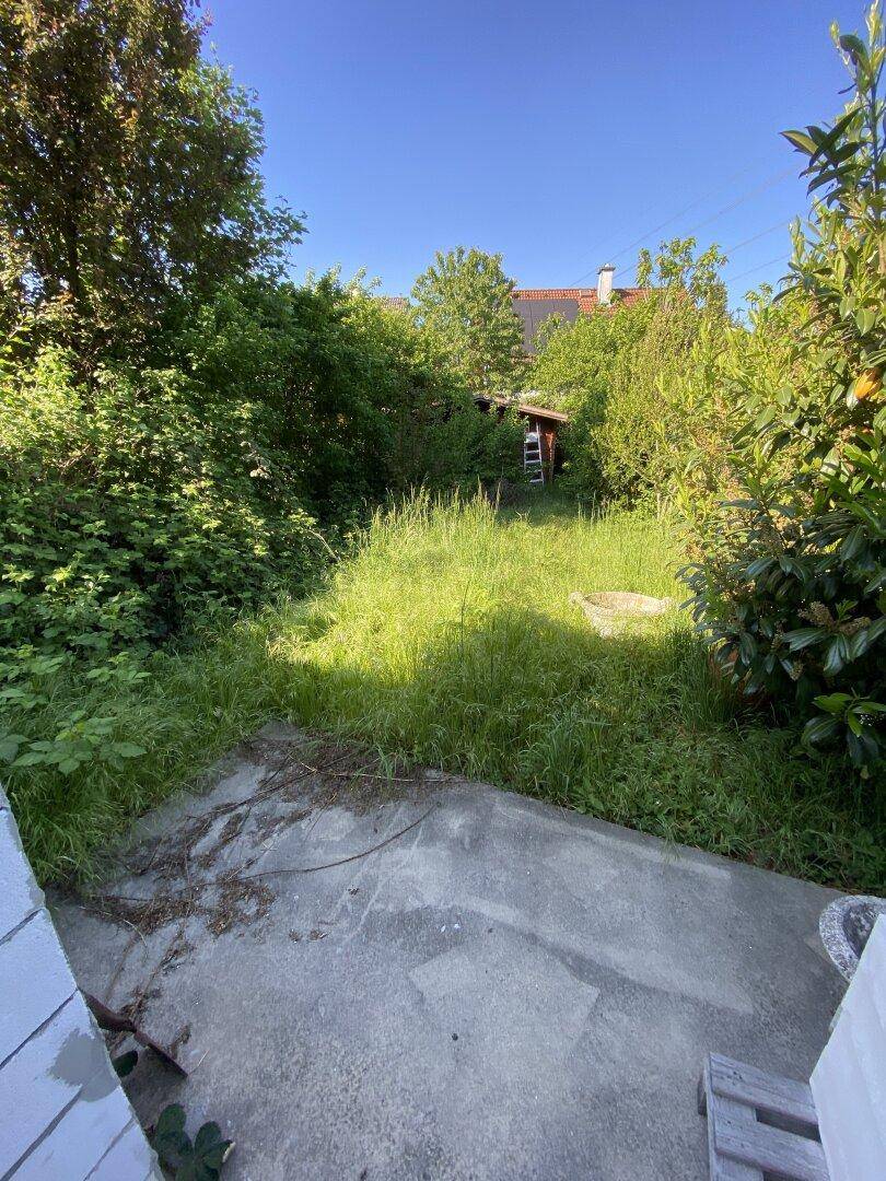 Verwilderter Gartenbereich mit viel Grün und einem kleinen Schuppen im Hintergrund.