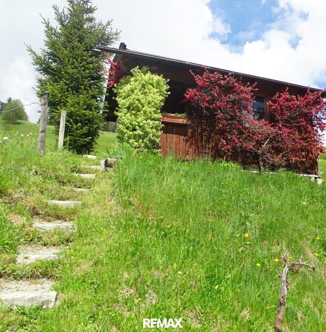 Kleines Holzhaus im Grünen, umgeben von blühenden Sträuchern und einem naturbelassenen Garten.