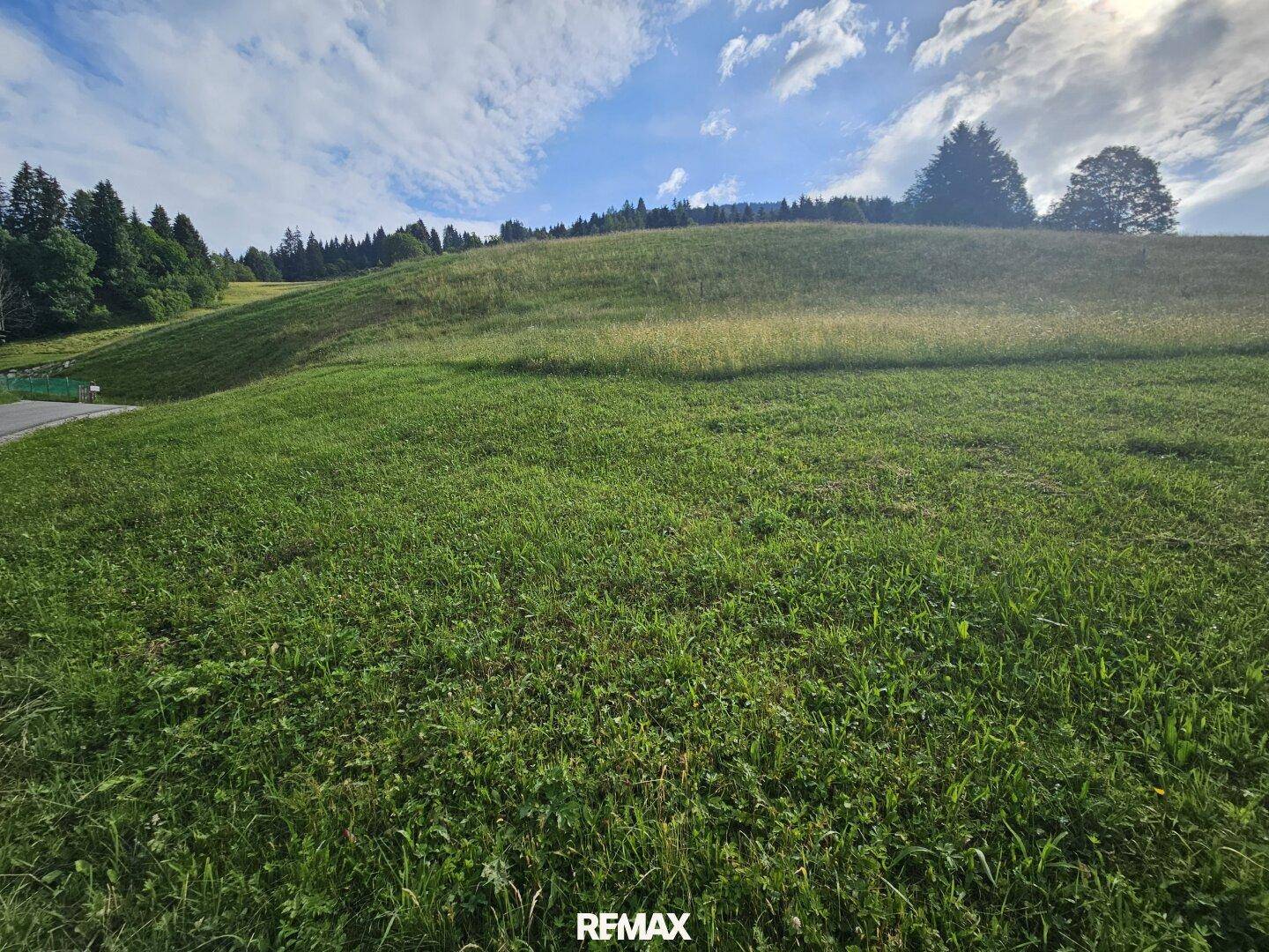 Weite grüne Wiesen auf einem sanften Hügel unter einem strahlend blauen Himmel mit Wolken.