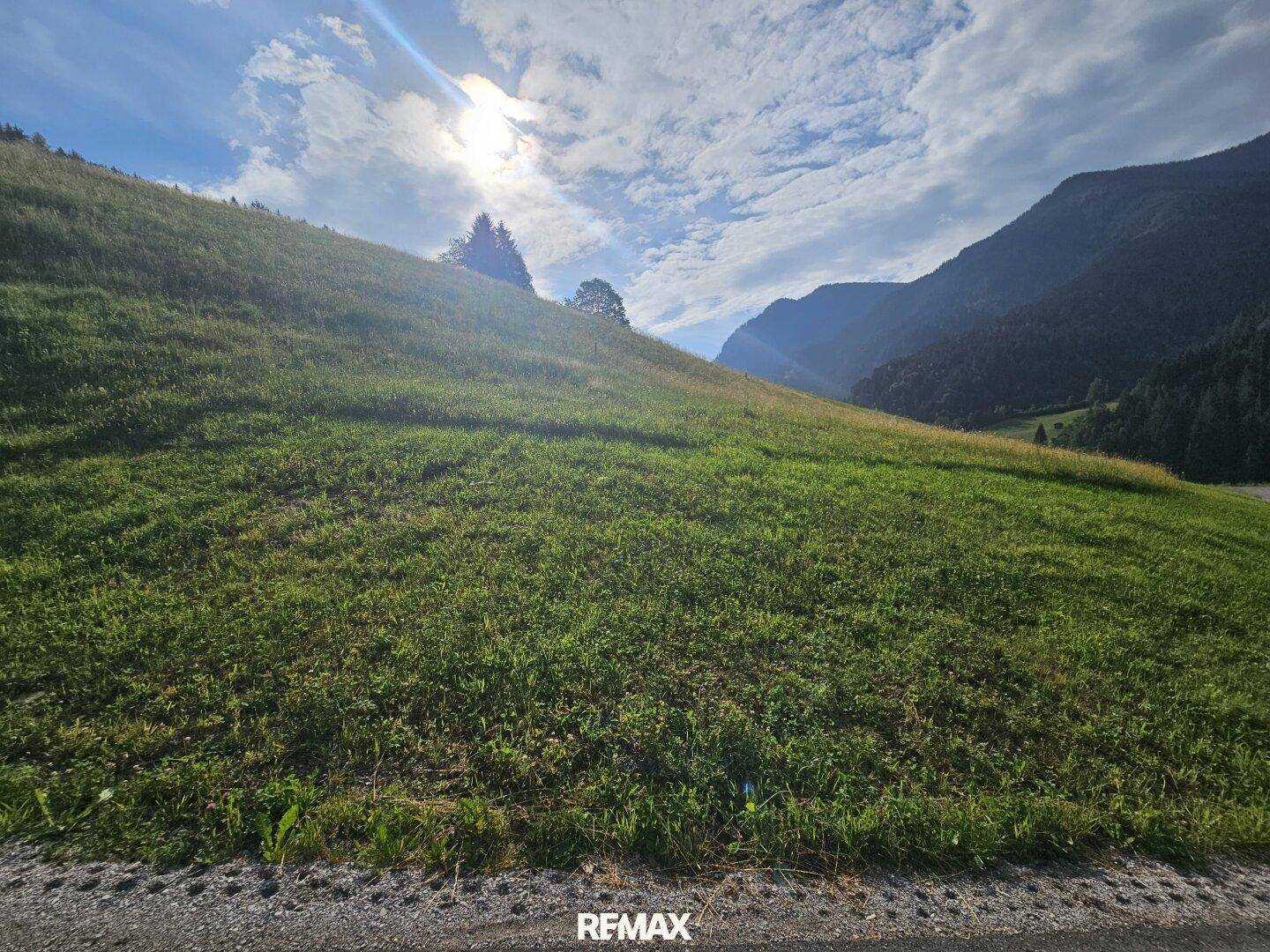 Sonnige grüne Wiese mit Blick auf die umliegenden Berge unter einem hellen, bewölkten Himmel.