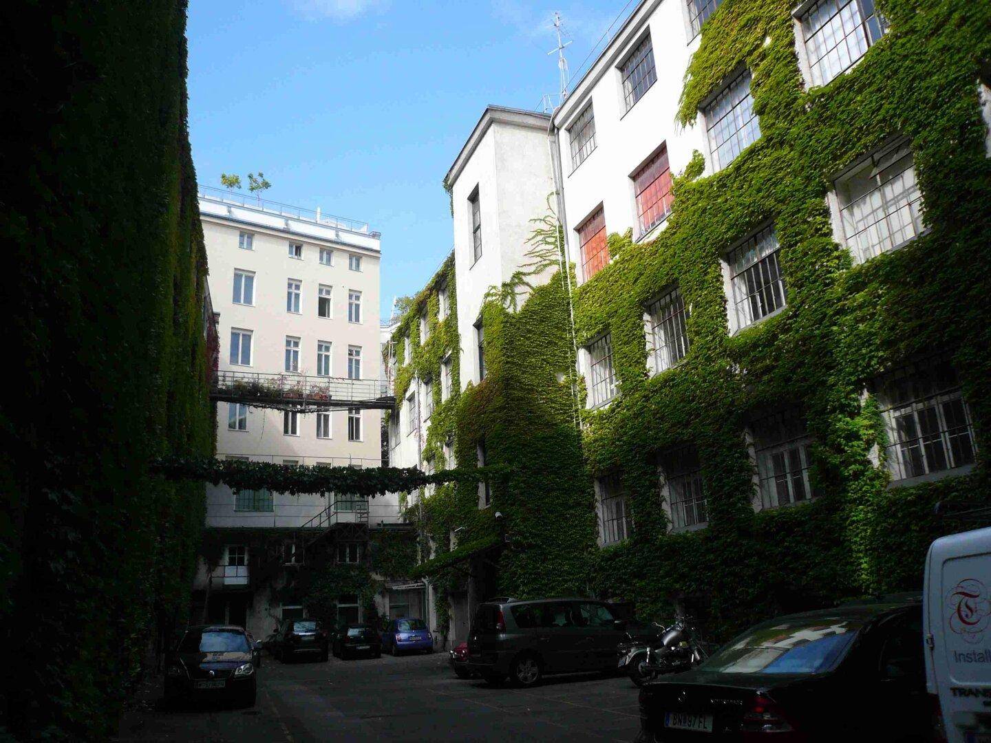Innenhof mit parkenden Autos und Gebäuden, die mit dichtem Efeu bewachsen sind, unter blauem Himmel.