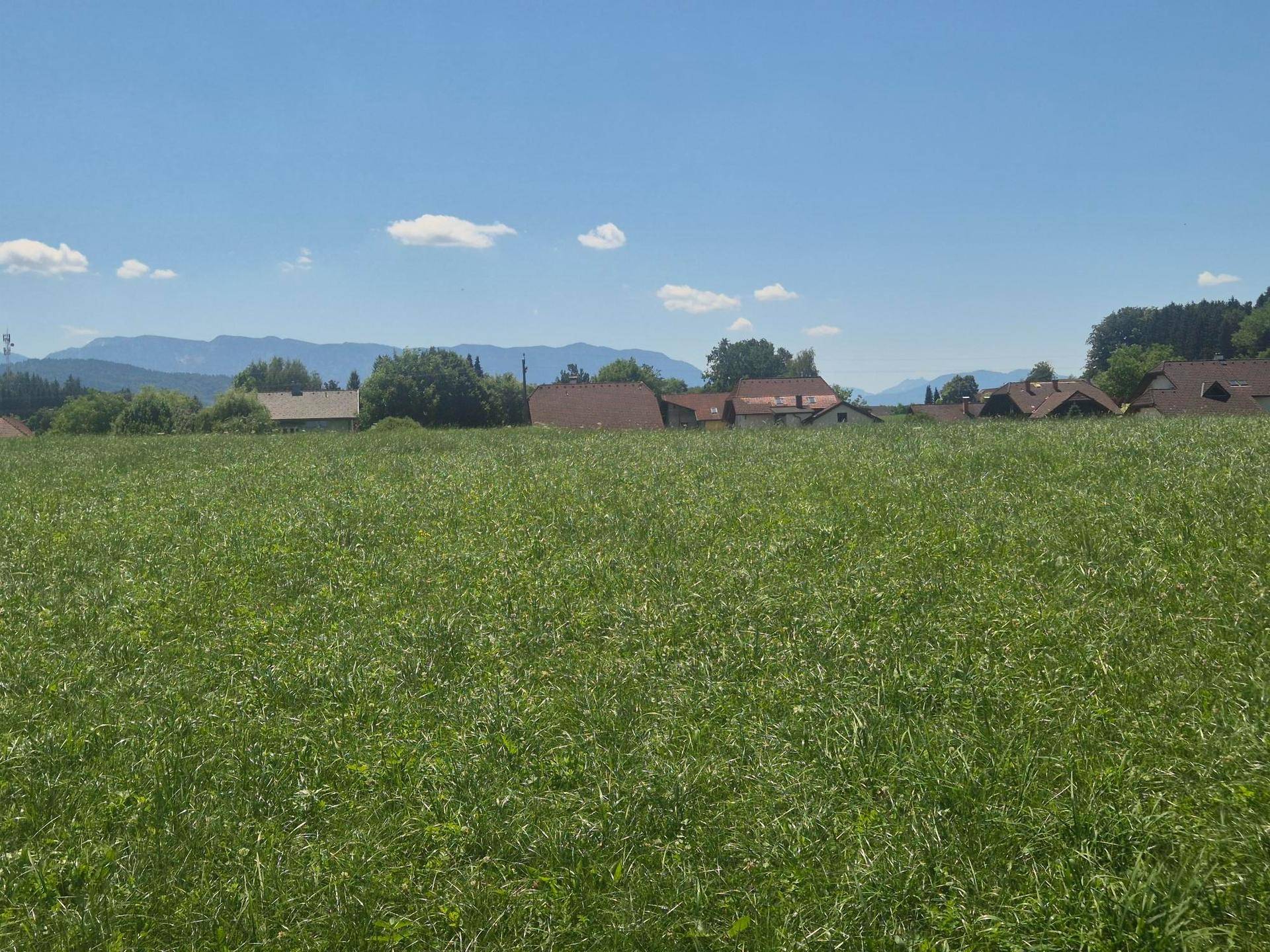 Weitläufiges grünes Feld mit Häusern und Bäumen am Horizont unter einem klaren blauen Himmel.