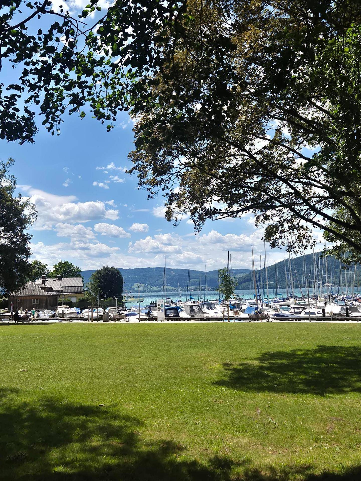 Grüne Wiese mit Blick auf einen belebten Yachthafen, den See und die umliegenden Berge.