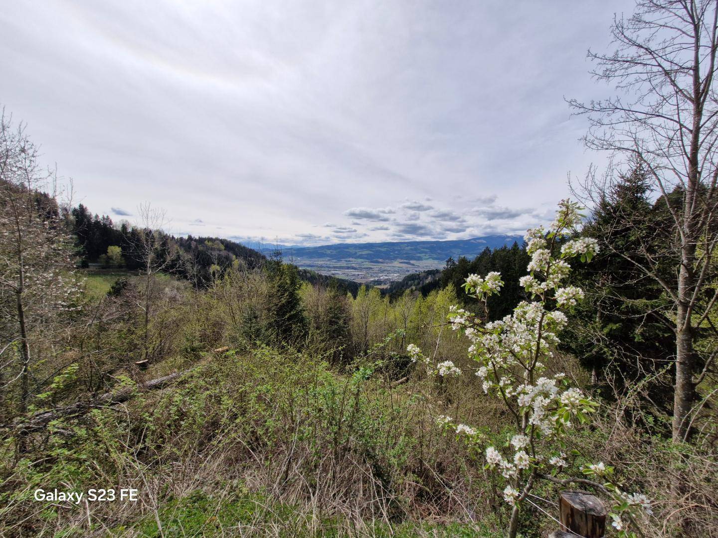 Aussicht auf das Lavanttal