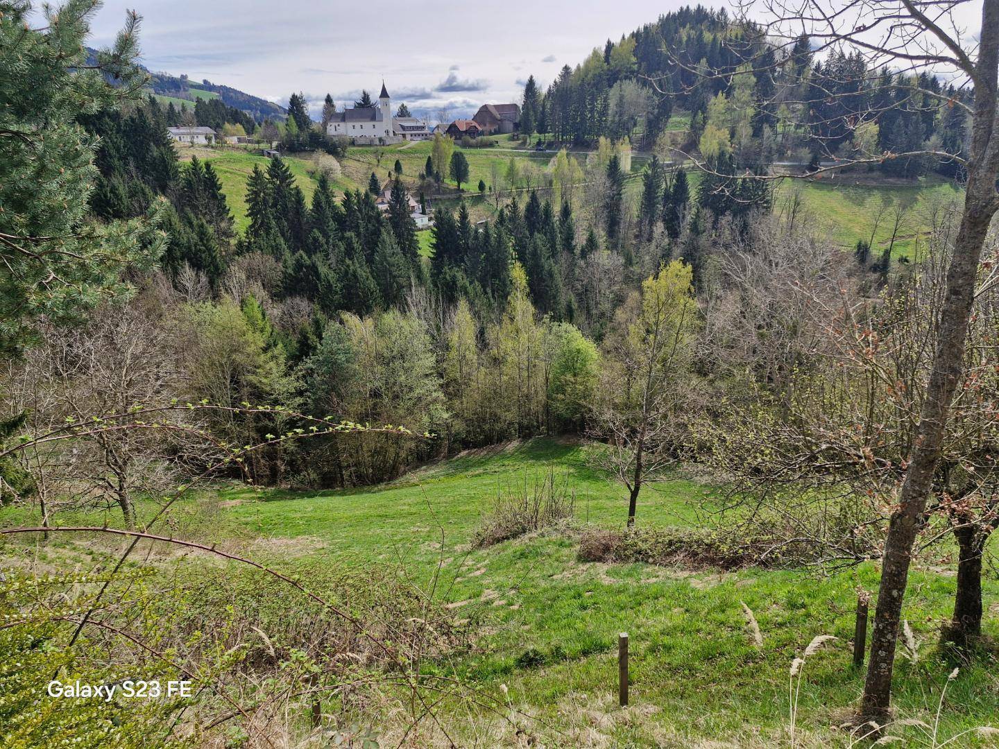 Südhang für Weinanbau geeignet