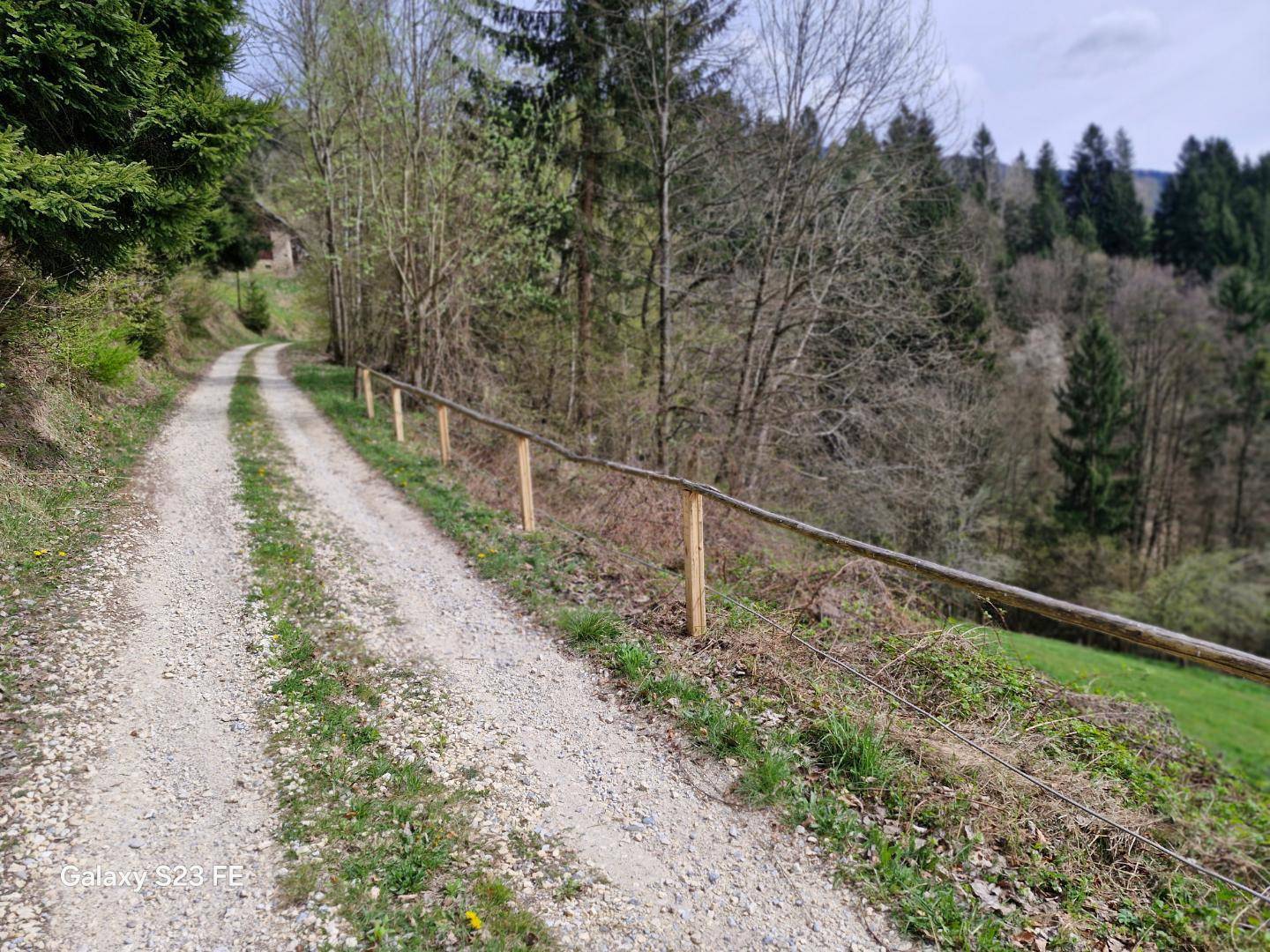 Zufahrt zum Haus