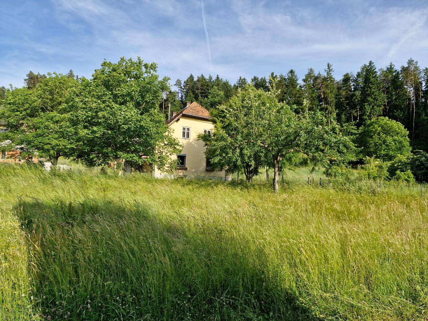 Idyllisch am Waldrand