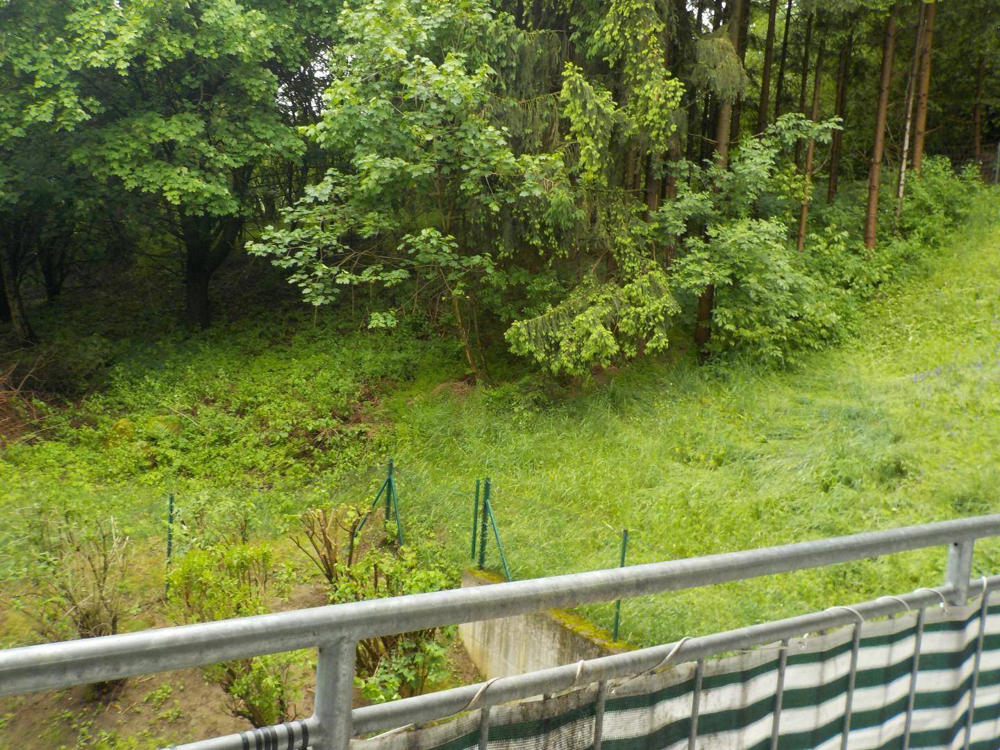 Blick von Loggia