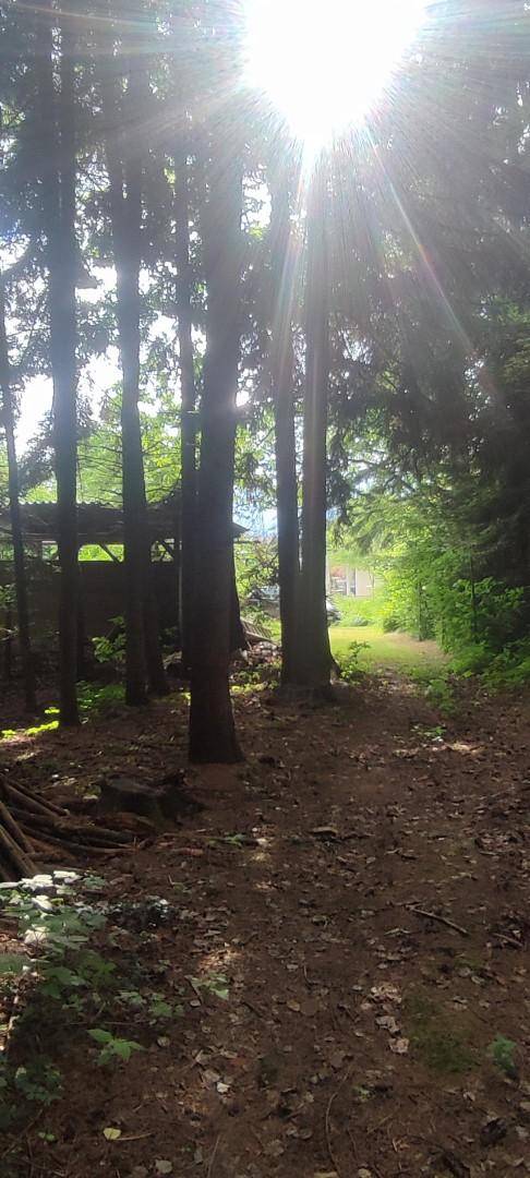 2200 m² Waldgrundstück