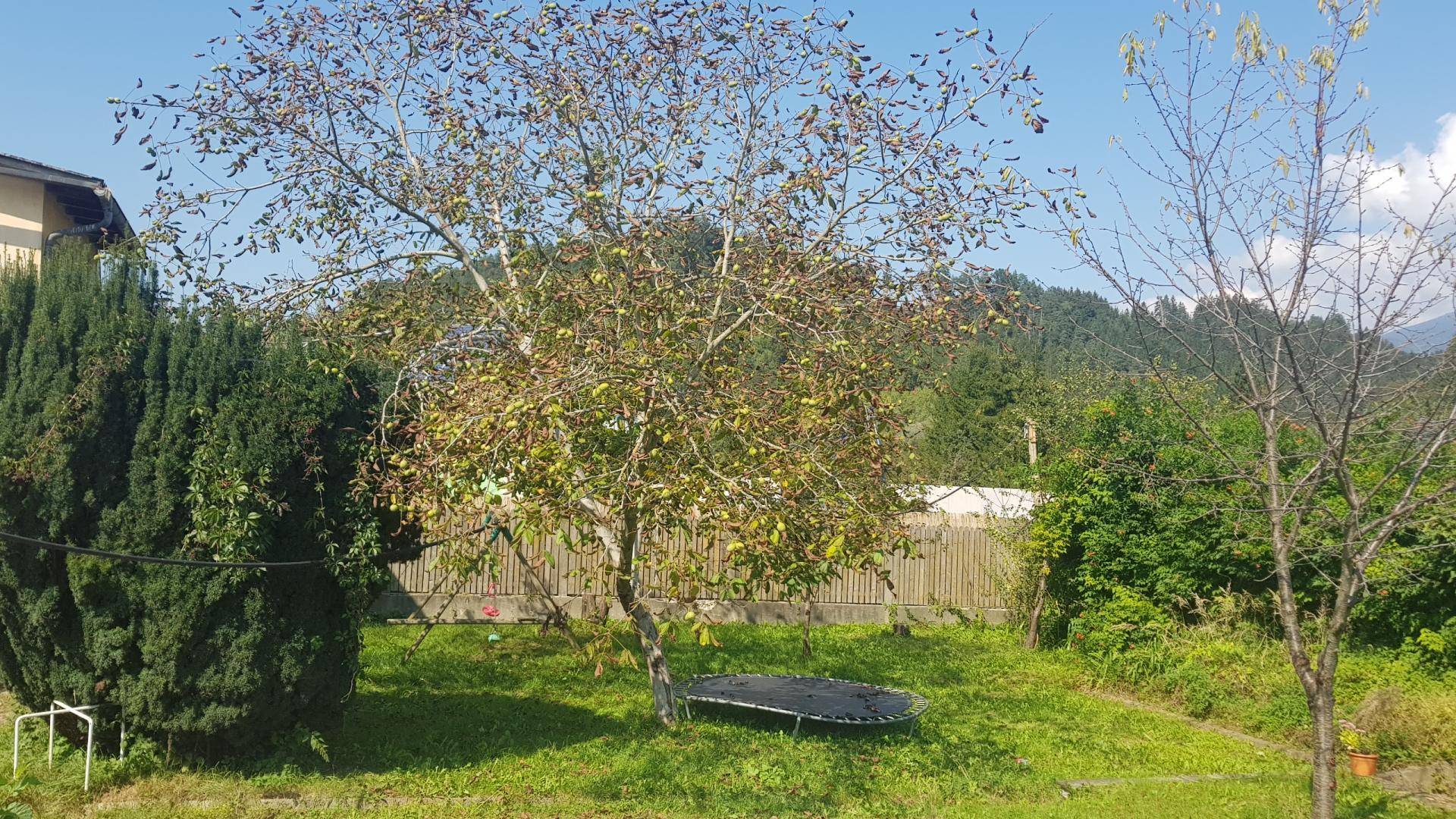 Garten privat