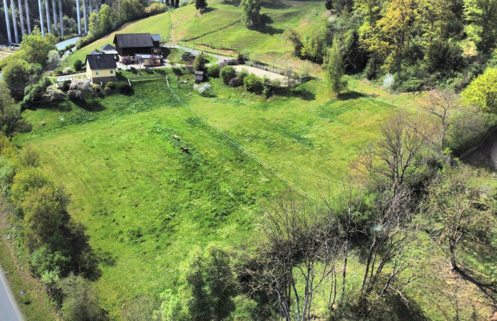 Panoramablick aus der Luft auf ein großes Grundstück mit Wiesen, Gebäuden und einem Reitplatz in ländlicher Umgebung.