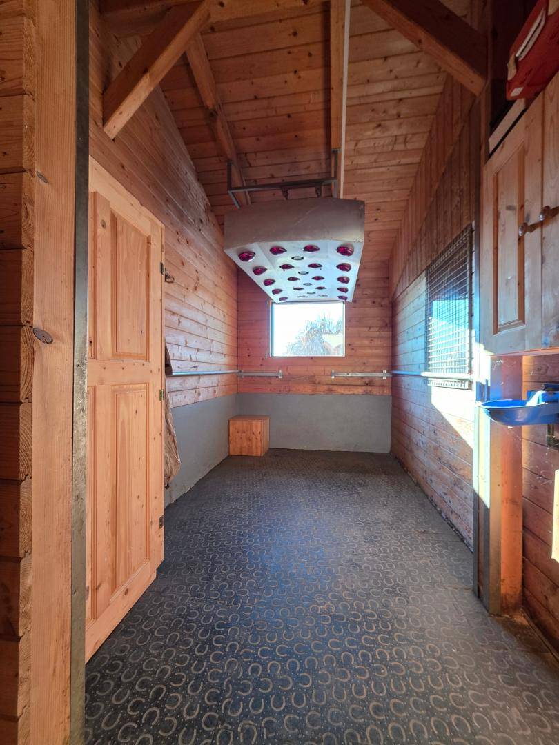 Sauberer Stallbereich mit Holzwänden, einem Fenster und speziellem Gummiboden für Tiere.