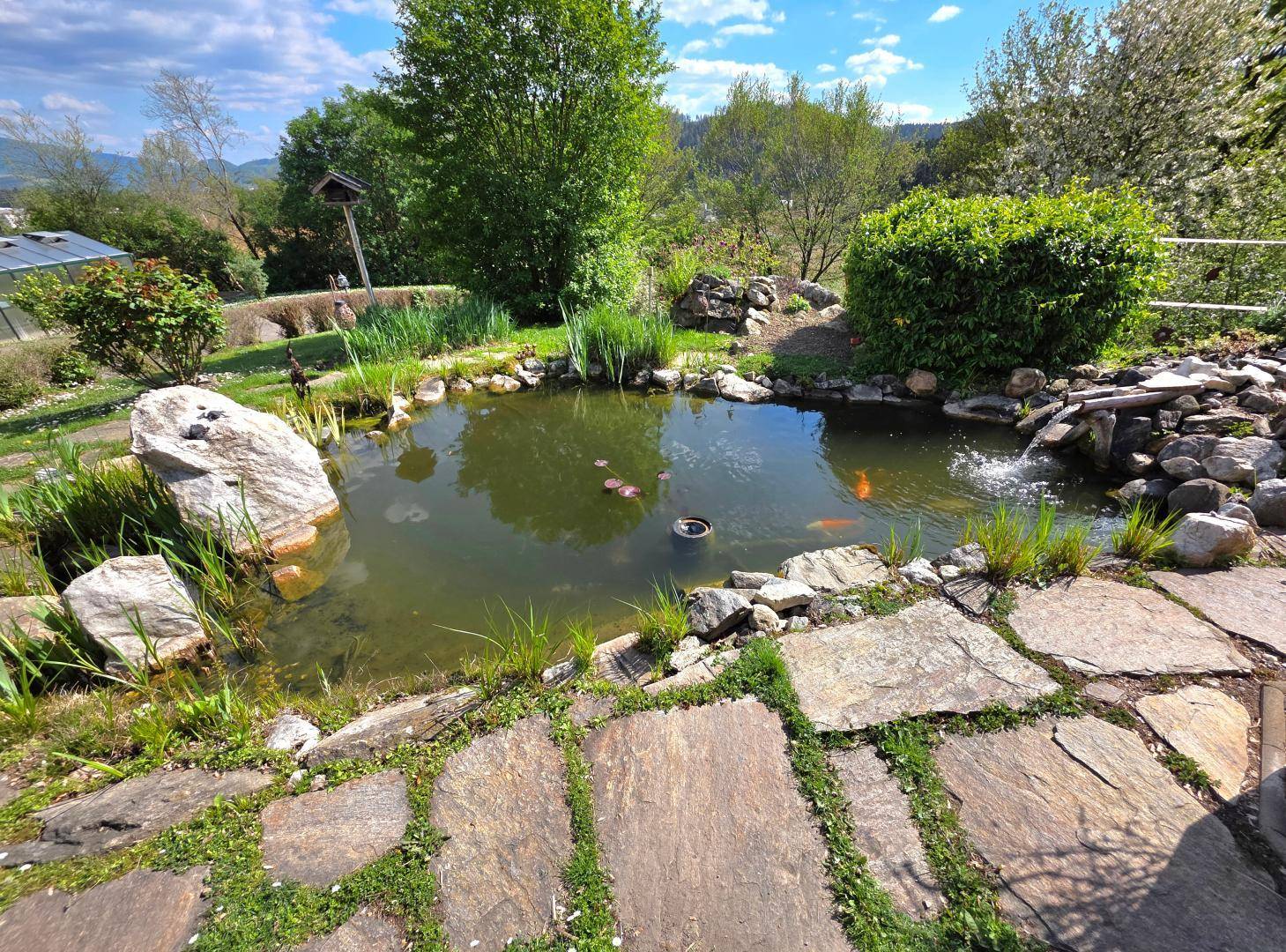 Nahaufnahme eines Gartenteichs mit Steinen, Pflanzen und einem kleinen Wasserfall in sonniger Umgebung.