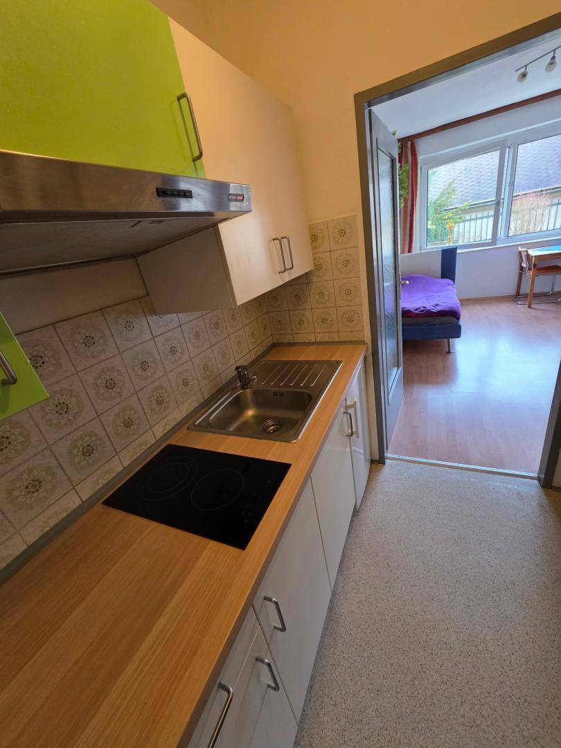 Kleine Küchenzeile mit Kochfeld, Spüle und Holz-Arbeitsplatte, angrenzend an einen Wohnbereich.