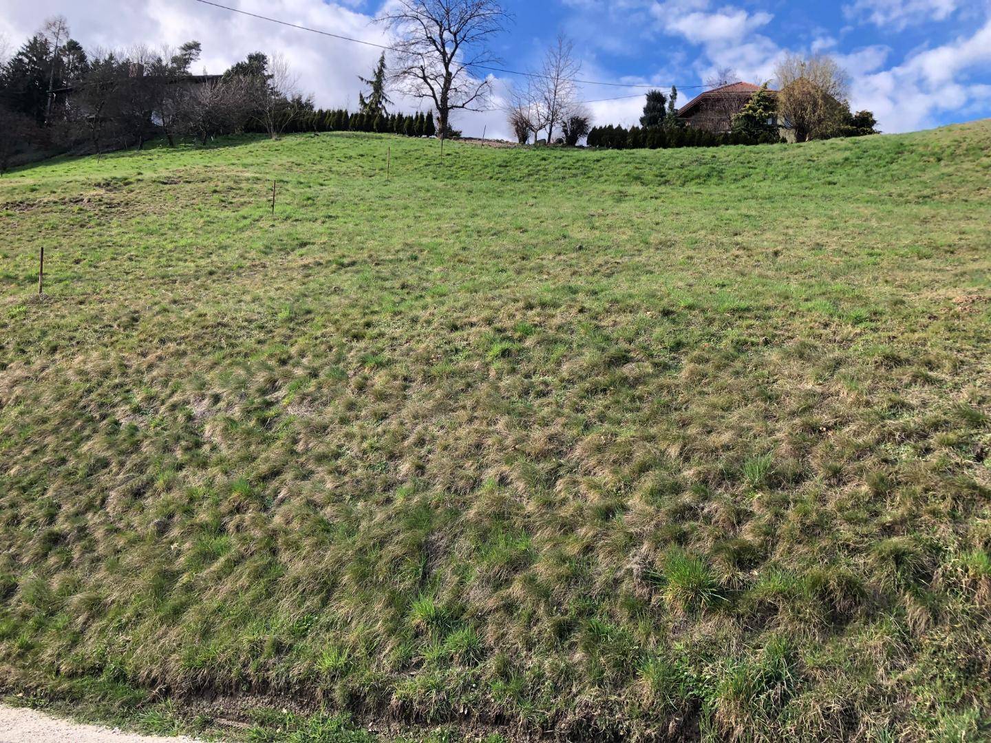 Weitläufige Ansicht einer grünen Wiese an einem Hang mit einem Haus auf dem Hügel im Hintergrund.