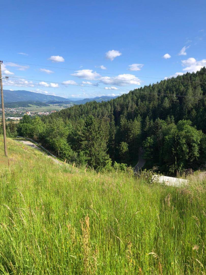 Weitblick von einem grünen Hügel über einen Wald und eine ferne Stadt unter blauem Himmel.