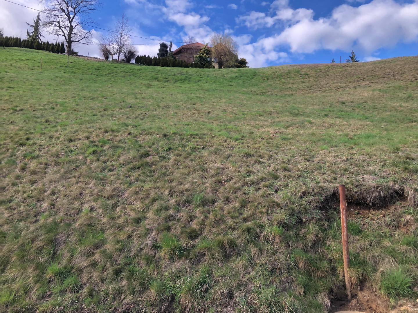 Grüne Wiese an einem Hang mit einem Haus auf dem Hügel und einem Holzpfahl im Vordergrund.