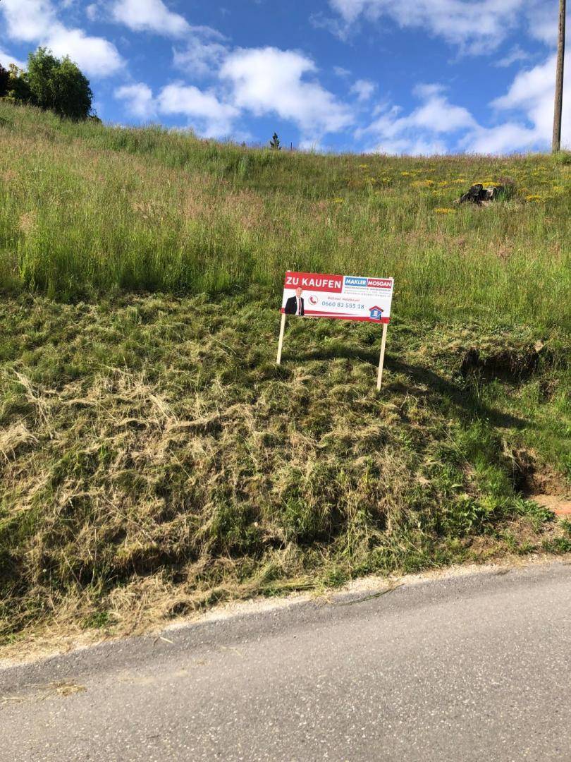Grüne Hanglage mit einem "Zu Kaufen" Schild am Straßenrand unter blauem Himmel.
