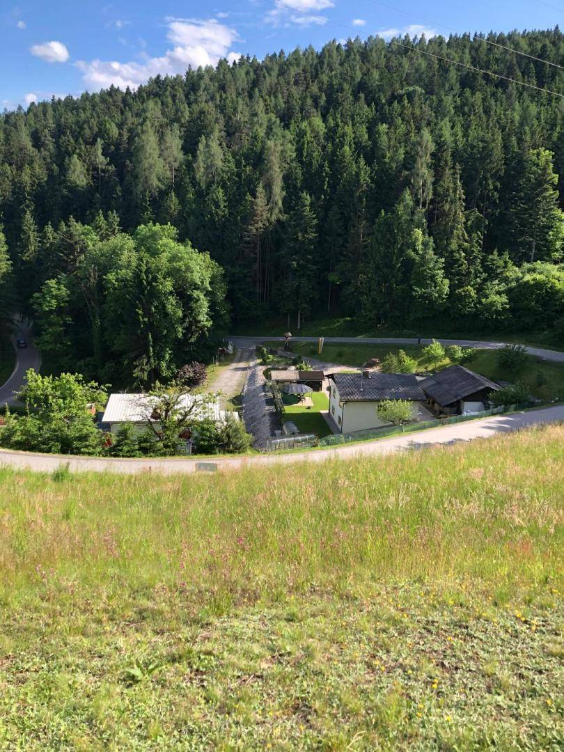 Blick von einem grünen Hügel auf Häuser, die von dichtem Wald umgeben sind, unter blauem Himmel.