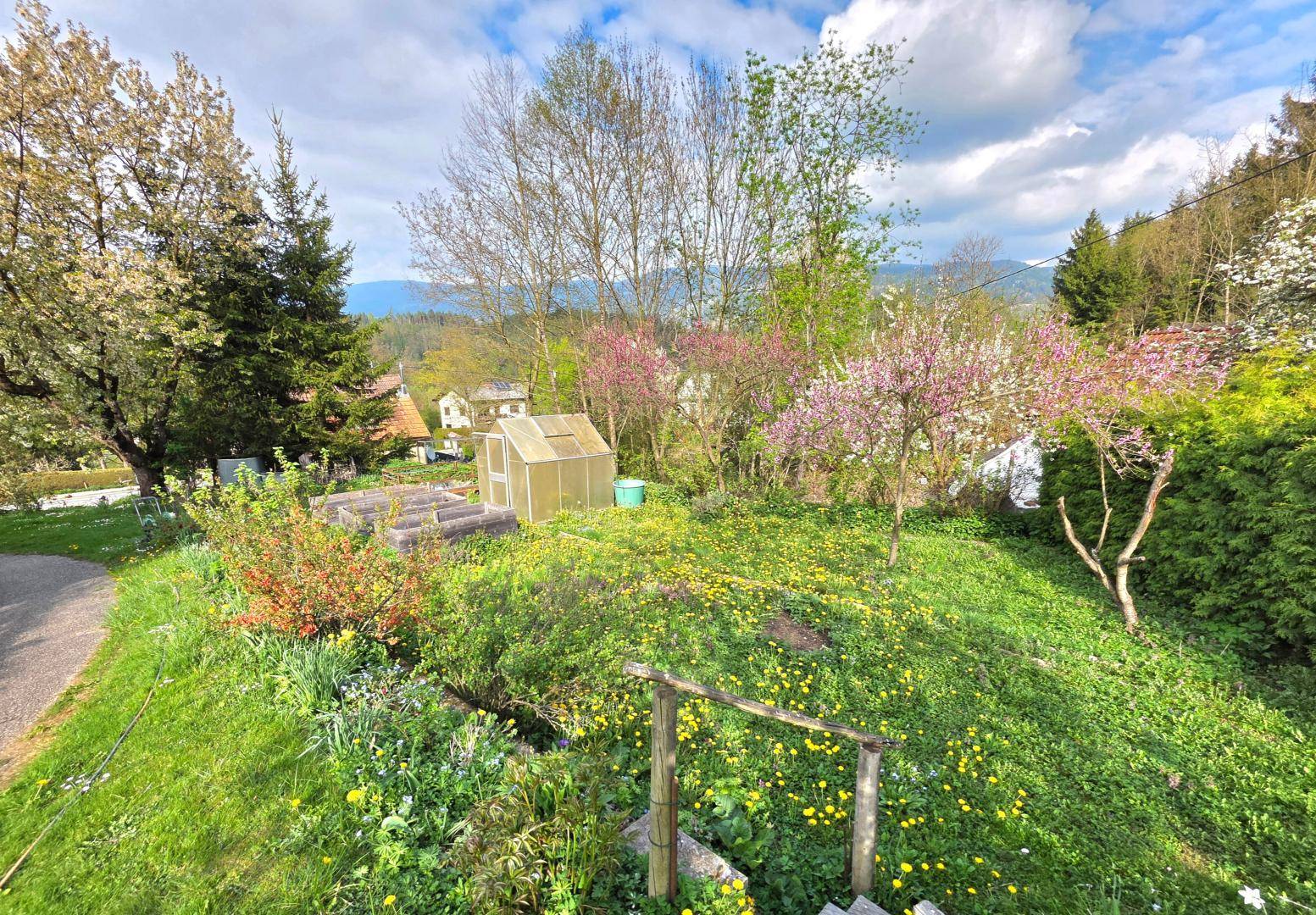 Hanglage im Garten mit einem Gewächshaus, blühenden Bäumen und einem weiten Blick über die ländliche Umgebung.