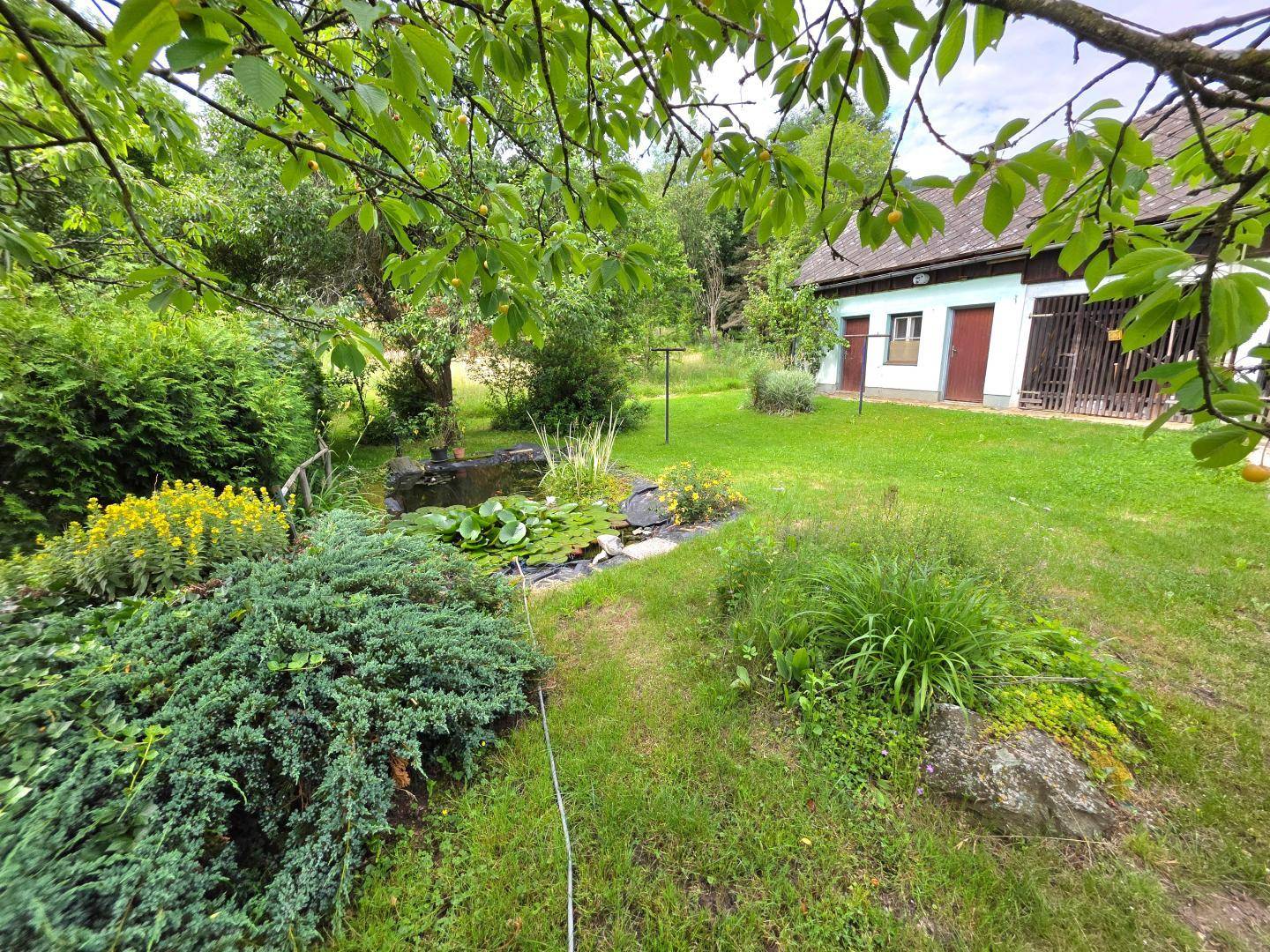 Weitläufiger Gartenbereich mit einem kleinen Teich, gepflegtem Rasen und vielfältigen Sträuchern vor ländlicher Kulisse.