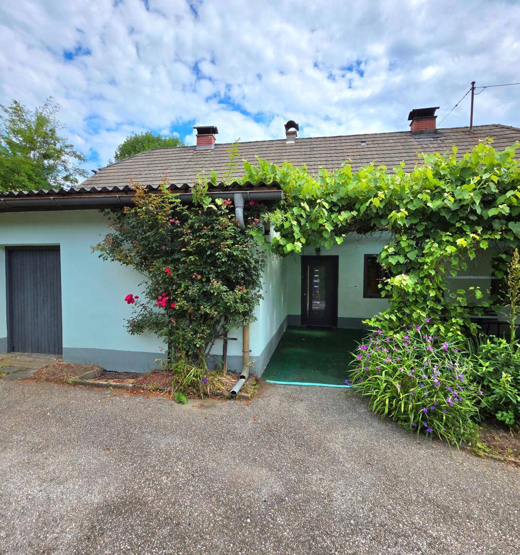 Eingangsbereich des Hauses mit einer von Weinreben überwachsenen Struktur und einer dunklen Eingangstür.